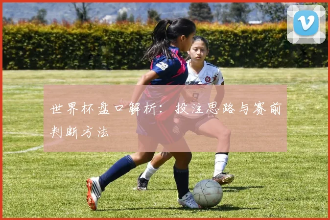 世界杯盘口解析:投注思路与赛前判断方法