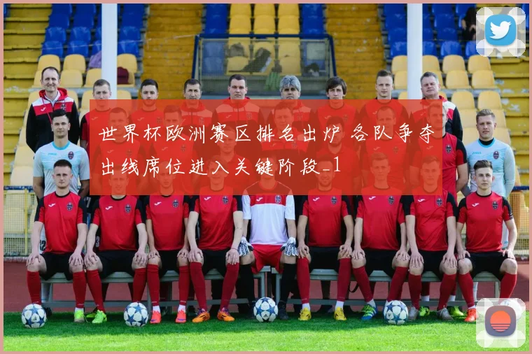 世界杯欧洲赛区排名出炉 各队争夺出线席位进入关键阶段_1